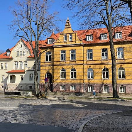 Apartment Zur Wiege Anhalts Ballenstedt Exteriör bild