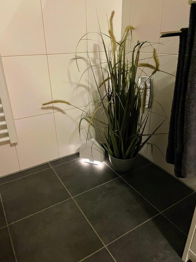 Apartment Zur Wiege Anhalts Ballenstedt Exteriör bild
