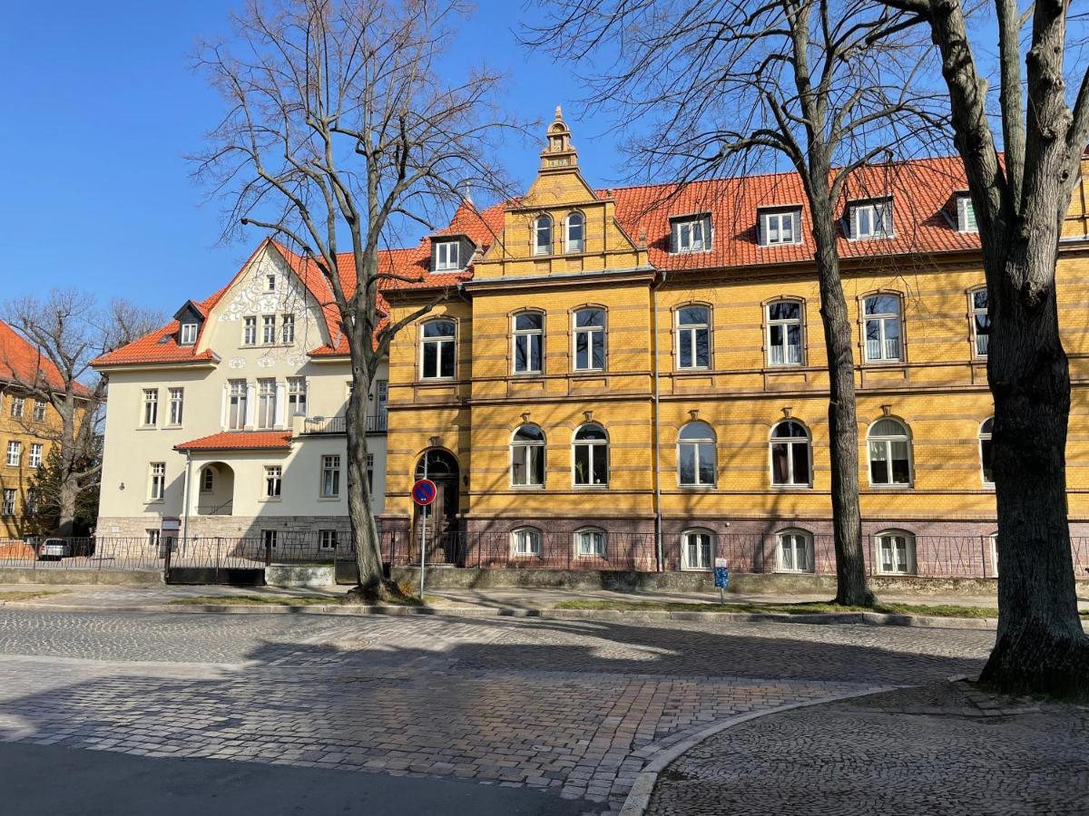 Apartment Zur Wiege Anhalts Ballenstedt Exteriör bild